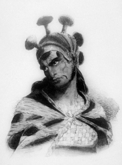 Havaijilainen soturi kypärässä, jossa on sienikoristettu harja, 1819 tekijältä Jacques Etienne Victor Arago