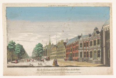 Näkymä Lange Voorhoutille Haagissa Promenade publique (otsikko esineessä) tekijältä Jacques Gabriel Huquier
