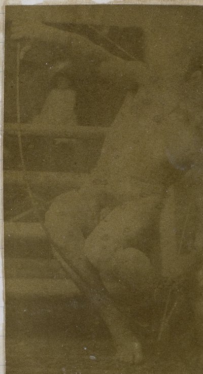 Tutkimus alaston miesmallista istumassa askelmassa edestä katsottuna köysi ja jousi sylissään Jacques de Lalaingin studiossa tekijältä Jacques Lalaing (attributed to)