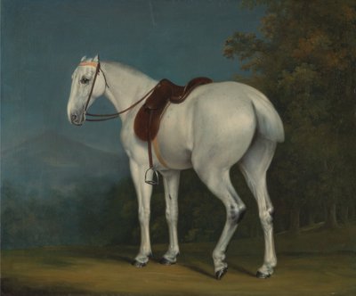 Naisen harmaa metsästäjä tekijältä Jacques Laurent Agasse