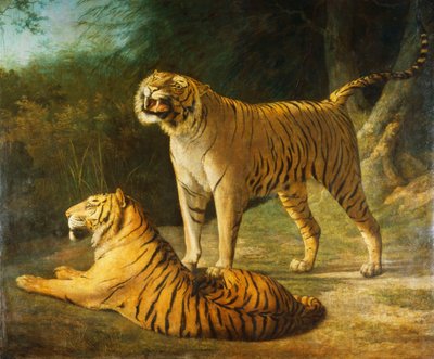 Tiikeri ja tiikeri Exeterissä "Change Menagerie vuonna 1808, 1808" tekijältä Jacques Laurent Agasse
