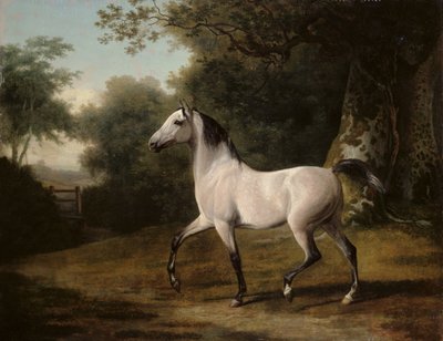Harmaa arabiorii metsäisessä maisemassa tekijältä Jacques Laurent Agasse