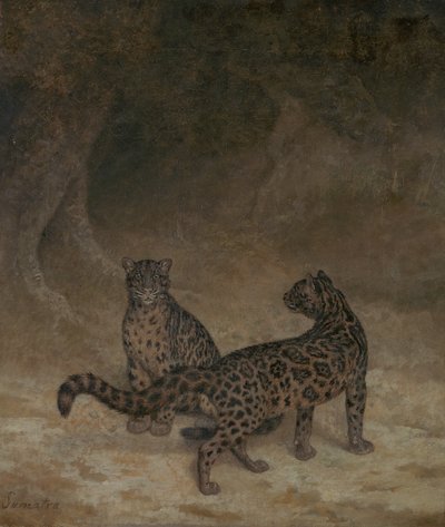 Pilviset leopardit, n. 1825 tekijältä Jacques Laurent Agasse