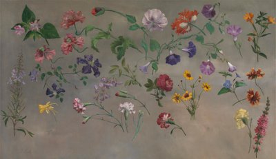 Studies of Flowers [1985, Cormack, YCBA Concise Catalogue] tekijältä Jacques Laurent Agasse