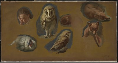 Tutkimuksia ketusta, pöllöstä, herneestä ja nuoren miehen päästä tekijältä Jacques Laurent Agasse