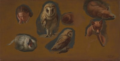 Tutkimuksia ketusta, pöllöstä, herneestä ja nuoren miehen päästä tekijältä Jacques Laurent Agasse