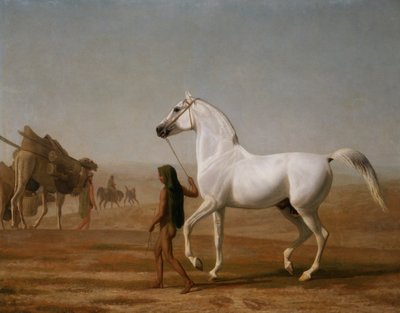 Wellesley Grey Arabian johti läpi aavikon tekijältä Jacques Laurent Agasse