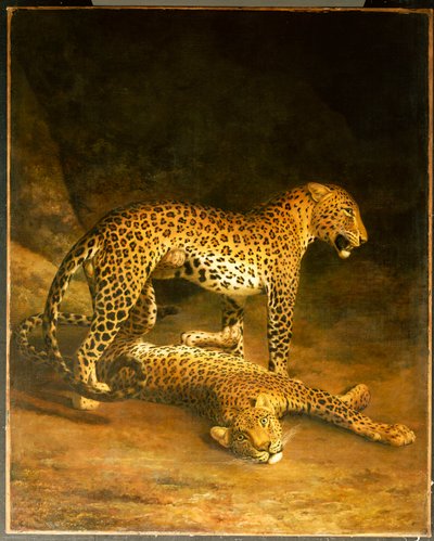 Kaksi leopardia makaamassa Exeterin pörssissä, 1808 tekijältä Jacques Laurent Agasse