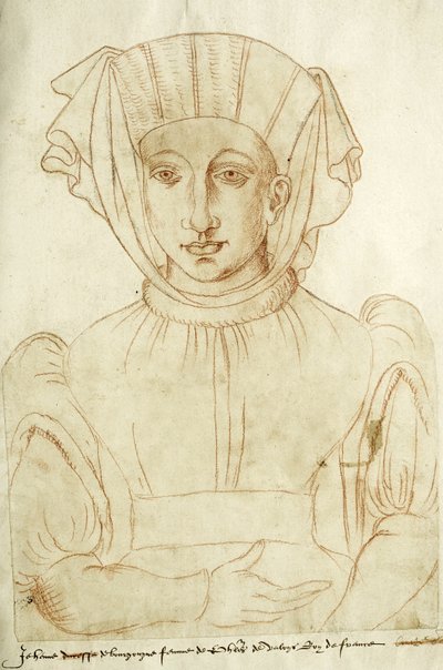 "Jehenne de Bourgongne, Ranskan kuninkaan Philippes de Valoysin vaimo", Recueil d