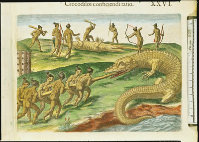 Metsästyskrokotiilit, "Brevis Narratiosta", kaiverrus Theodore de Bry (1528-98) 1563 (yksityiskohta 180138) tekijältä Jacques Le Moyne