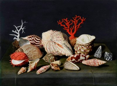""Asetelma kuorien ja korallien kanssa"" (Asetelma simpukoiden ja korallien kanssa) Jacques Linardin (1597-1645) maalaus - Öljy puulle, 47x64 - Fondation Custodia tekijältä Jacques Linard
