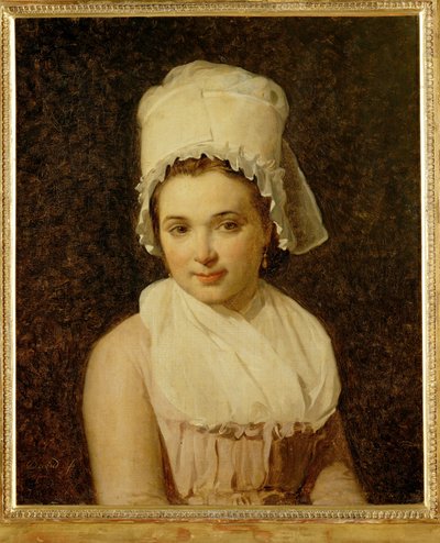 Catherine-Marie-Jeanne Tallard, Sougere/Yonnen kunnanjohtajan Francois Lamyn vaimo ... tekijältä Jacques Louis David