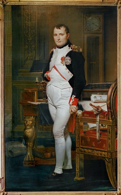 Keisari Napoleon I Bonaparte (öljy kankaalle) tekijältä Jacques Louis David