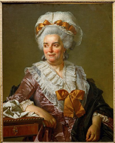 Genevieve Jacqueline Pecoul, maalarin anoppi ... tekijältä Jacques Louis David