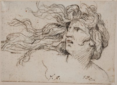 Naisen pää ja hulmuavat hiukset tekijältä Jacques Louis David