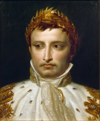 Napoleon I kruunajaisasuissaan tekijältä Jacques Louis David