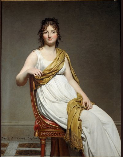 Madame Raymond de Verninacin muotokuva - öljy kankaalle tekijältä Jacques Louis David