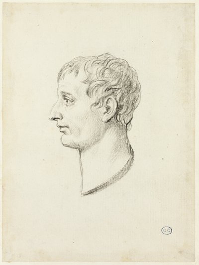 Napoleonin profiili tekijältä Jacques Louis David