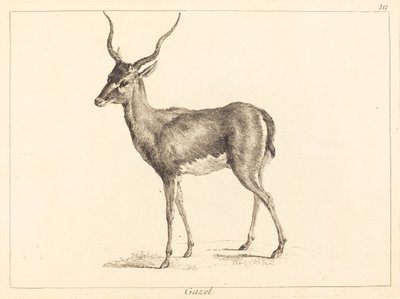 Gazelli (Gazelle) tekijältä Jacques Philippe Le Bas and Jean Eric Rehn after Jean Baptiste Oudry