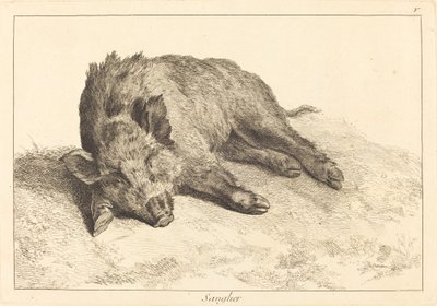 Sanglier (Wild Boar Lying Down, Head to the Left) tekijältä Jacques Philippe Le Bas and Jean Eric Rehn after Jean Baptiste Oudry