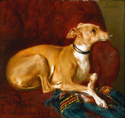 Greyhound lepää tuolilla. tekijältä Jacques Raymond Brascassat