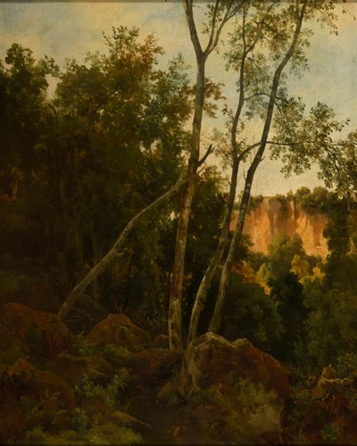 Metsä kivien kanssa tekijältä Jacques Raymond Brascassat