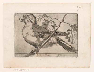 Gaai Gaio (otsikko esineessä) Vogels (sarjan nimi) tekijältä Jacques de Fornazeris (possibly)
