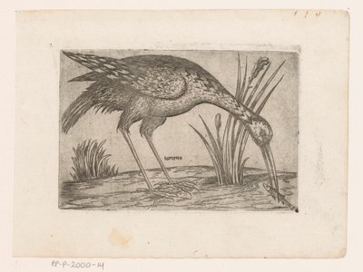 Vogel Tartena (otsikko esineessä) Vogels (sarjan nimi) tekijältä Jacques de Fornazeris (possibly)