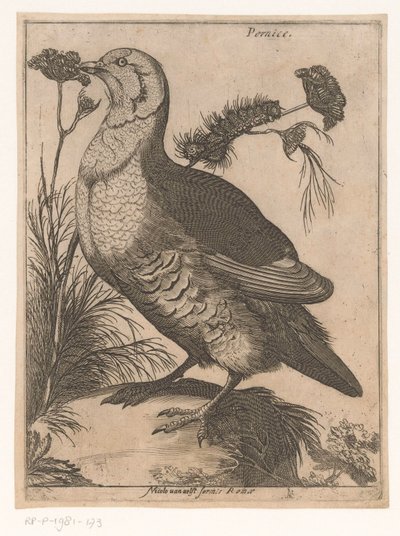 Peltopyy Pernice (otsikko esineessä) Nine Birds (sarjan nimi) tekijältä Jacques de Fornazeris