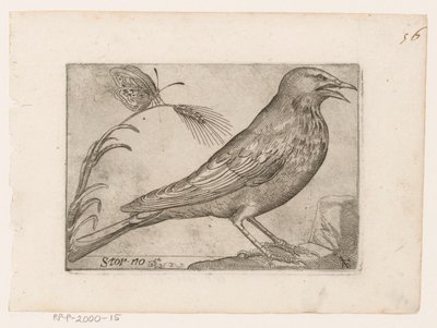 Kottarainen (Sturnus vulgaris) Storno (otsikko esineessä) Linnut (sarjan nimi) tekijältä Jacques de Fornazeris