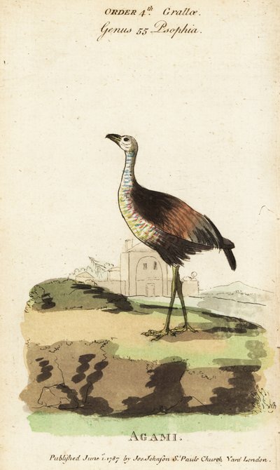 Seuraava on Heron, seuraava on seuraava tekijältä Jacques de Seve