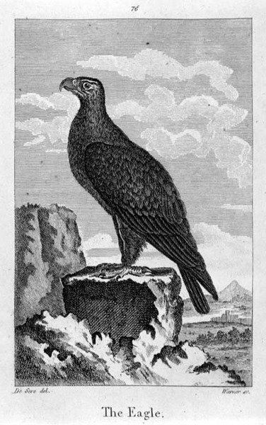 The Eagle, mula sa 