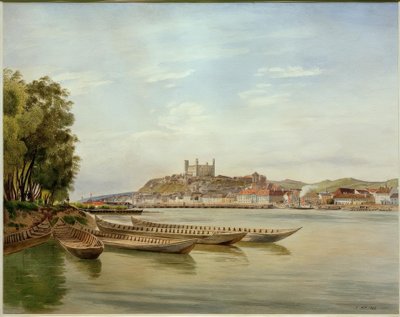 Blick auf Pressburg tekijältä Jakob Alt