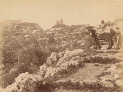 Capri [lapsi muulin selässä] tekijältä James Anderson