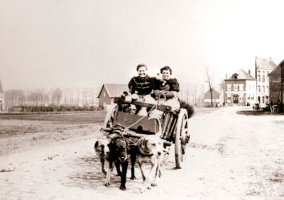 Koirat vetävät naisia kärryissä, Antwerpen, 1898. tekijältä James Batkin