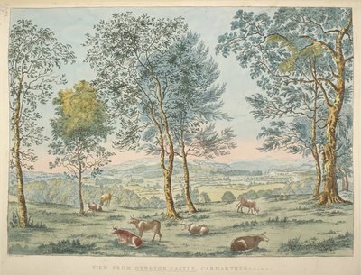 Kartat K, Top 46. 35 c Näkymä Dynevorin linnasta, Carmarthen (käsinvärinen etsaus) tekijältä James Bretherton