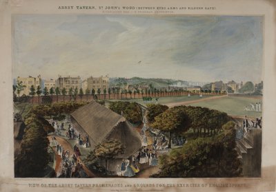 Näkymä Abbey Taverns -promenadeille ja -alueille, Violet Hill, Marylebone, n. 1870 tekijältä James D Barnett