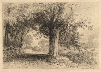 A Farm Lane, tammikuu 1887, Opus 2 tekijältä James David Smillie
