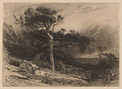Old Cedars, Mainen rannikko tekijältä James David Smillie