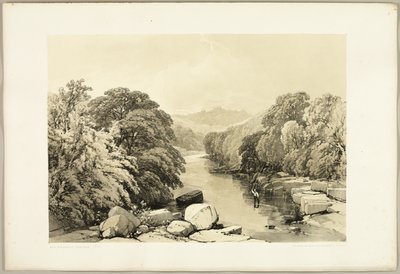 Ash, sycamore ja Oak, puistosta ja metsästä tekijältä James Duffield Harding