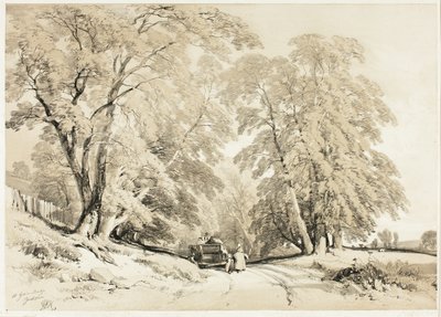 Ash, puistosta ja metsästä tekijältä James Duffield Harding