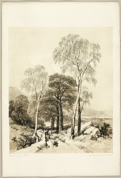 Koivu ja tammi, puistosta ja metsästä tekijältä James Duffield Harding