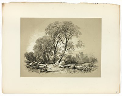 Leicesterin linna, Picturesque Selectionsista tekijältä James Duffield Harding