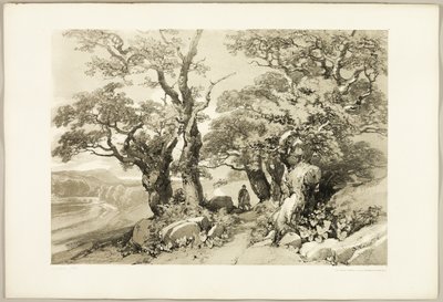 Old Oaks, puistosta ja metsästä tekijältä James Duffield Harding