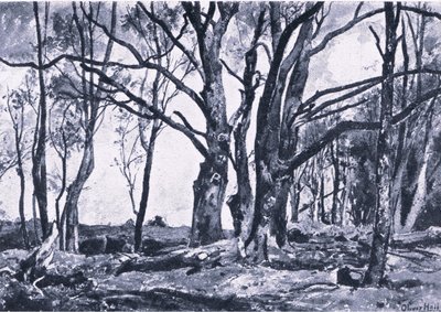 Pollard Willows Windsorin niityillä, Nature in Britain julkaisija Collins tekijältä James Duffield Harding