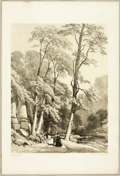 Sycamore, puistosta ja metsästä tekijältä James Duffield Harding
