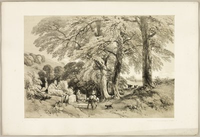 Wych Elm, puistosta ja metsästä tekijältä James Duffield Harding