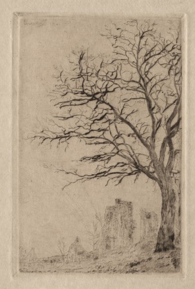 Akasia tekijältä James Ensor
