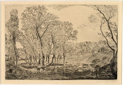Poppeleiden ympäröimä lammikko tekijältä James Ensor