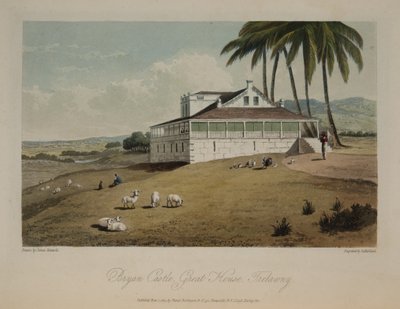 Bryan Castle, Great House, Trelawny tekijältä James Hakewill